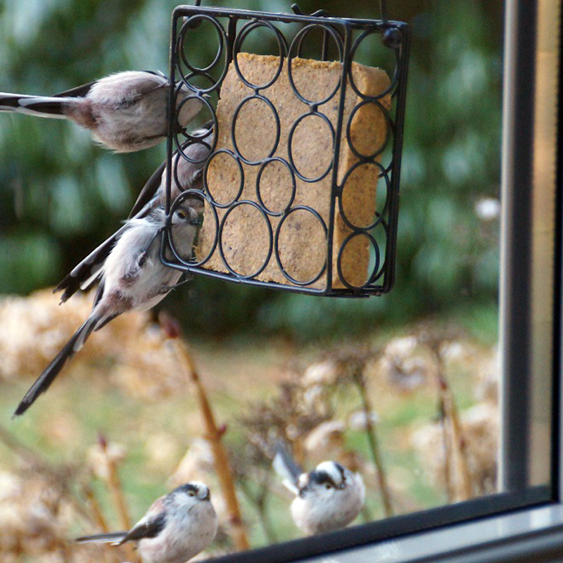 Repas de graisse végétale sans huile de palme pour oiseaux Natures Market fabriqué en France recyclé