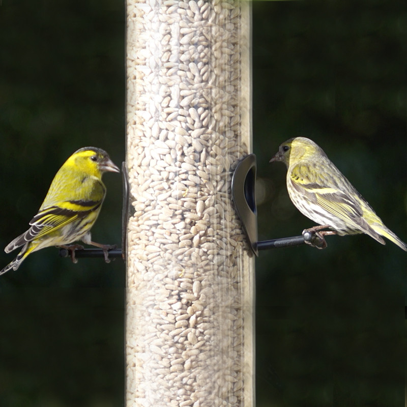 Graines de tournesol décortiqué pour oiseaux Natures Market -Oisillon.net-