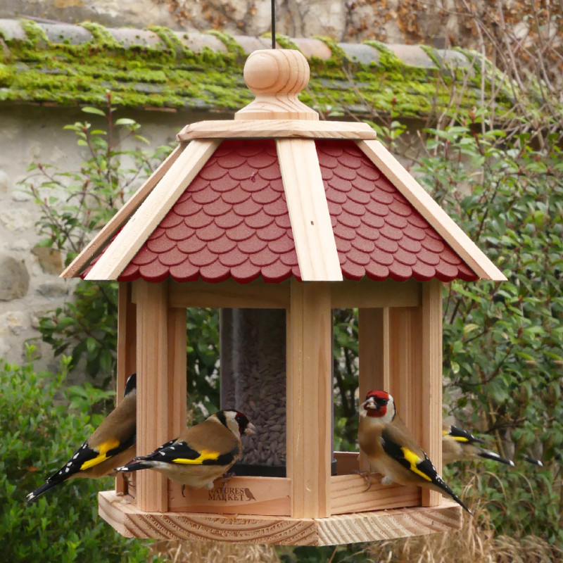 Graines de tournesol décortiqué pour oiseaux Natures Market -Oisillon.net-