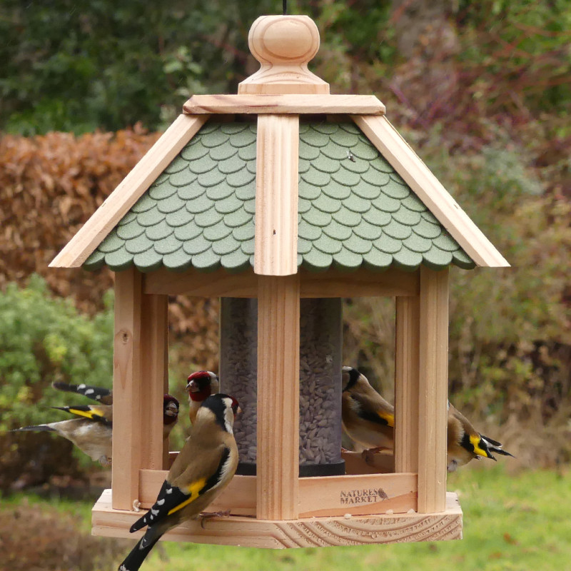 Graines de tournesol décortiqué pour oiseaux Natures Market -Oisillon.net-