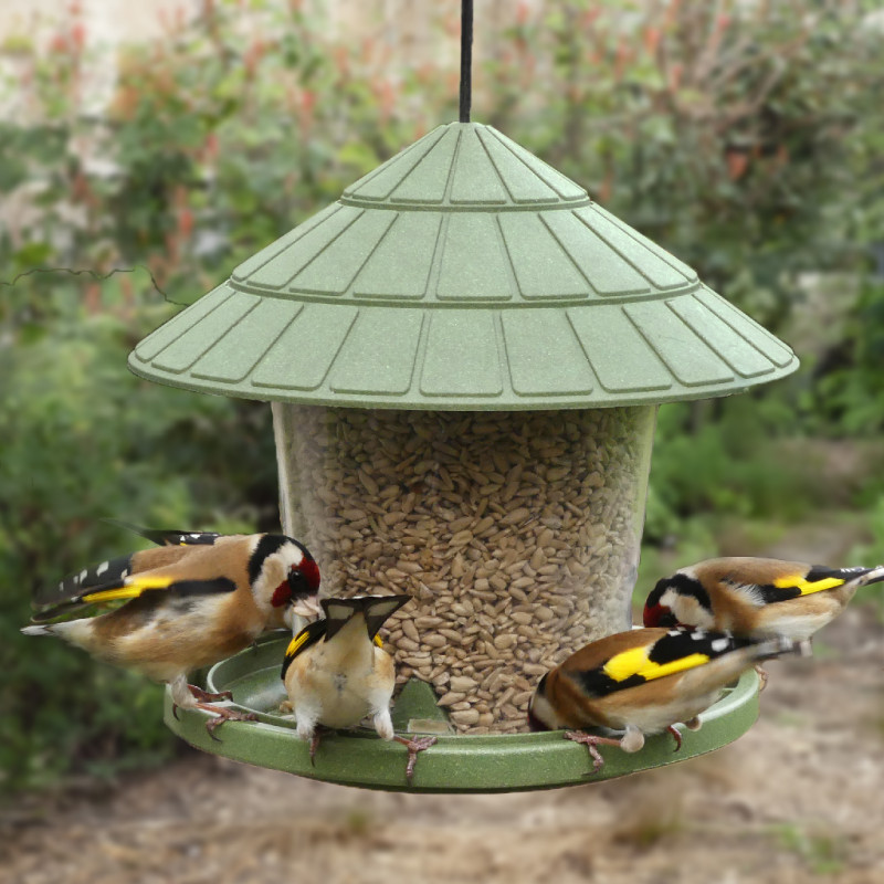 Graines de tournesol décortiqué pour oiseaux Natures Market -Oisillon.net-