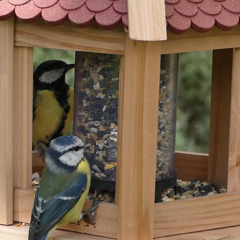 Mélange de graines Supérieur pour oiseaux Natures Market -Oisillon.net-