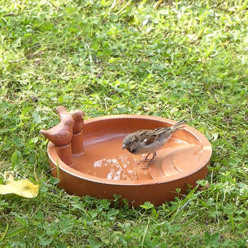 Abreuvoir pour oiseaux bain eau recyclé à poser au sol Natures market Oisillon.net NM682
