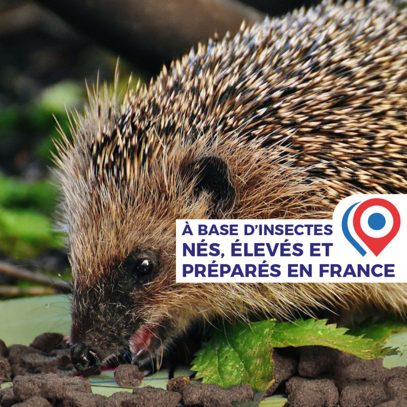 croquettes pour hérissons aux insectes fabriqué en France Natures Market Oisillon.net