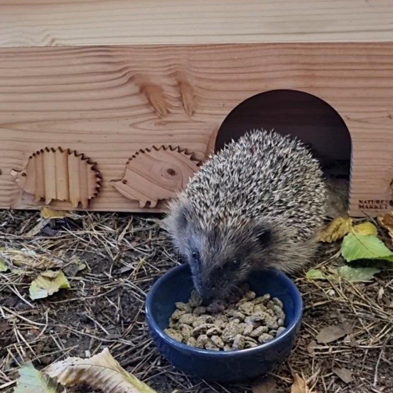 Abri Nichoir pour hérissons fabriqué en France bois et plastique recyclé Made in France Natures market -Oisillon.net-