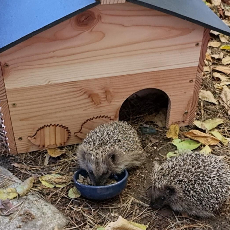 Abri Nichoir pour hérissons fabriqué en France bois et plastique recyclé Made in France Natures market -Oisillon.net-