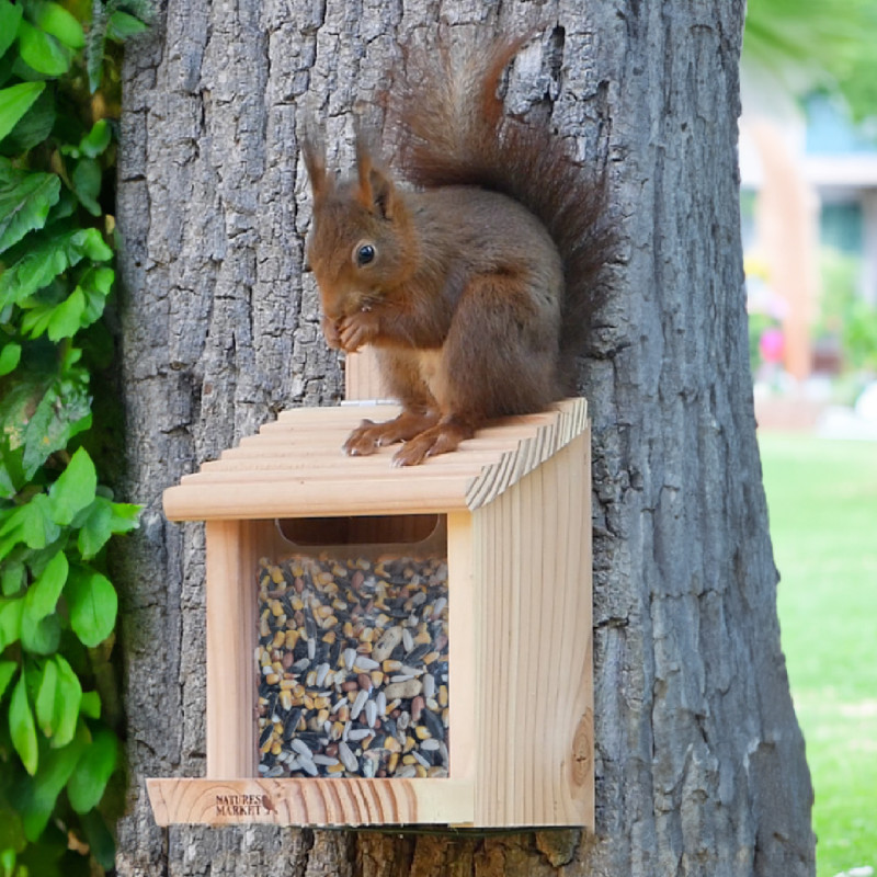 Mélange de graines pour écureuils Natures Market Oisillon.net