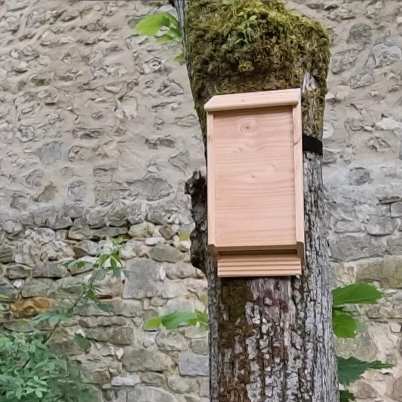 Accroche nichoir suspendre nichoir oiseaux système accroche nichoir Natures Market Oisillon.net