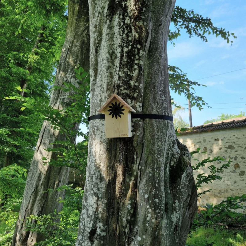 Nichoir La Couveuse pour oiseaux mésanges charbonnières, moineaux, sittelles torchepot ... Natures Market