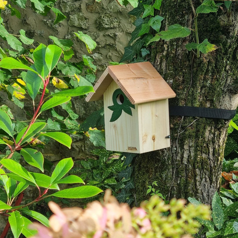 Oisillon.net pour mésanges charbonnières moineaux et rouge queue à front blanc