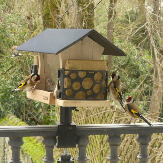 Mangeoire Pour Oiseaux DARLUX XL Hexagonale - Rouge/Bleu/Vert/Noir - En Bois