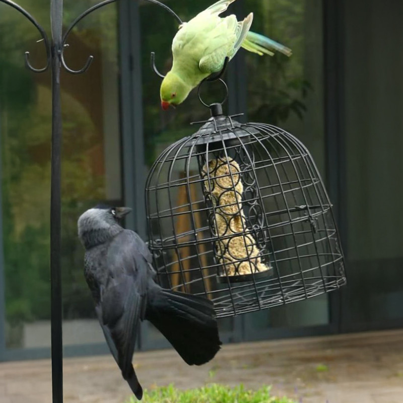 grille anti étourneaux perruches pigeon pie NM213 cage Natures Market Oisillon.net