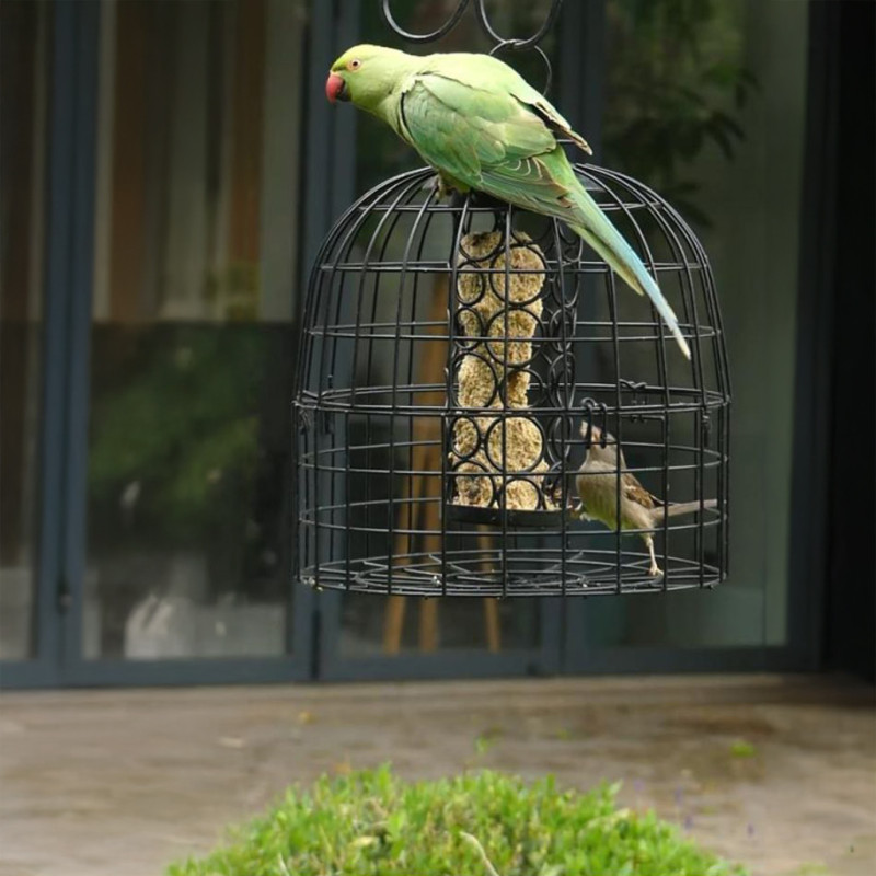 grille anti étourneaux perruches pigeon pie NM213 cage Natures Market Oisillon.net