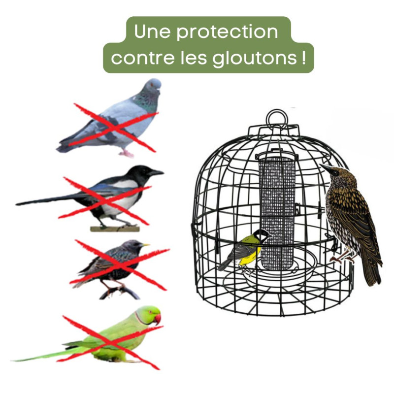 grille anti étourneaux perruches pigeon pie NM213 cage Natures Market Oisillon.net