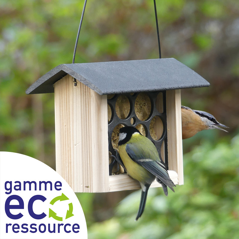 Coffret : Chat Alors ! Moineaux, Sittelles Torchepots et Rougequeues à Front Blanc Natures Market Oisillon.Net fabriqué France