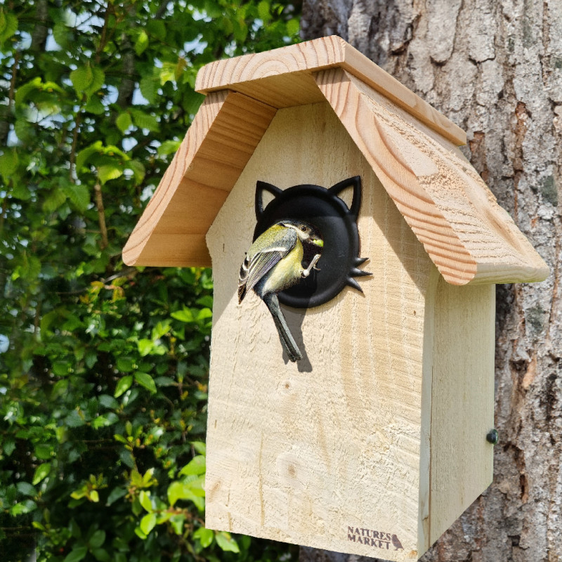 Coffret : Chat Alors ! Moineaux, Sittelles Torchepots et Rougequeues à Front Blanc Natures Market Oisillon.Net fabriqué France