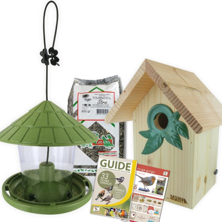 Coffret : Attrape Rêve ! Moineaux, Sittelles Torchepots et Rougequeues à Front Blanc Natures Market Oisillon.Net fabriqué France