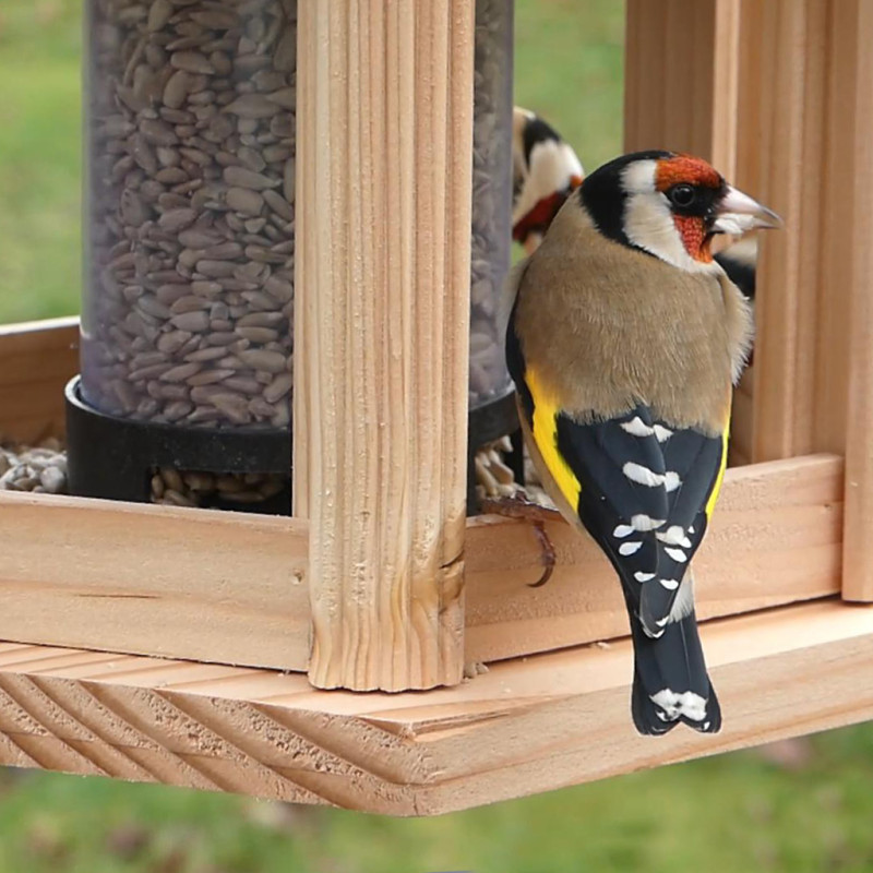 Mangeoire oiseaux fabriquée en France en matériau recyclé et bois français. Natures Market. Oisillon.net