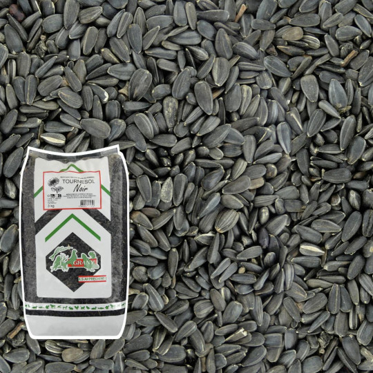 Tournesol noir strié pour nourrir les oiseaux Natures market Oisillon.net
