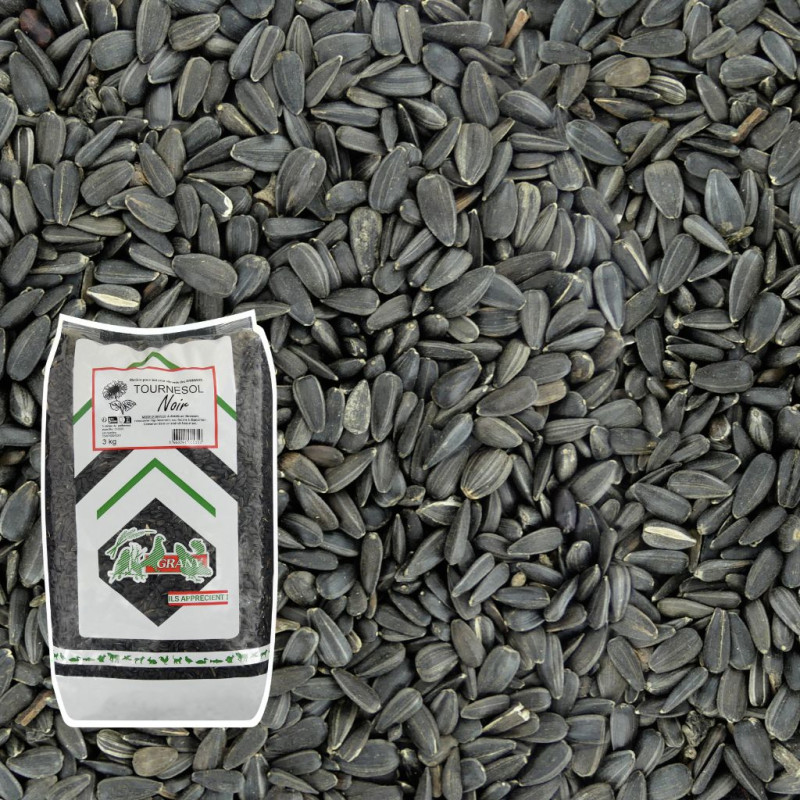 Tournesol noir strié pour nourrir les oiseaux Natures market Oisillon.net