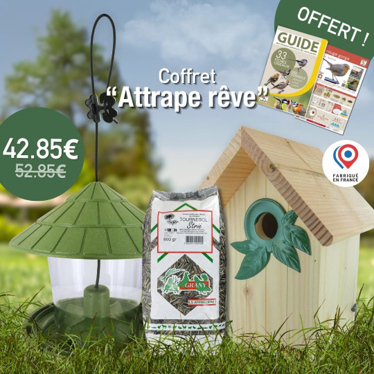 Coffret : Attrape Rêve ! Moineaux, Sittelles Torchepots et Rougequeues à Front Blanc Natures Market Oisillon.Net fabriqué France Coffret : Attrape Rêve ! Moineaux, Sittelles Torchepots et Rougequeues à Front Blanc Natures Market Oisillon.Net fabriqué France