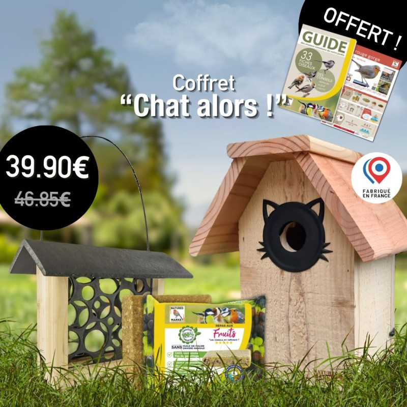 Coffret : Chat Alors ! Moineaux, Sittelles Torchepots et Rougequeues à Front Blanc Natures Market Oisillon.Net fabriqué France