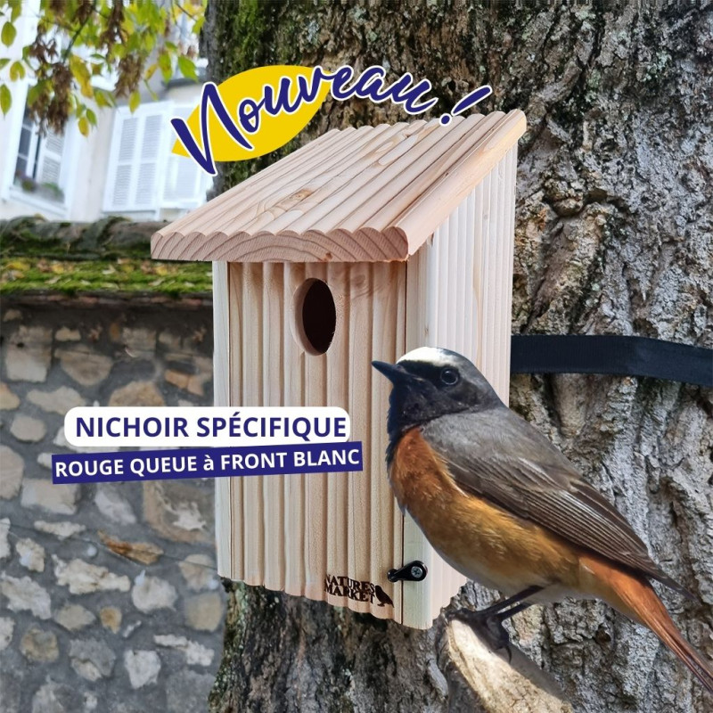 nichoir spécial Rouge queue à Front Blanc fabriqué en France Made in France Natures Market Oisillon.net NM729 bois
