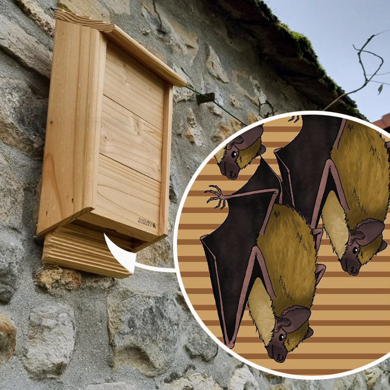 nichoir chauve souris fabriqué en France par Natures Market sur site Oisillon.net NM204