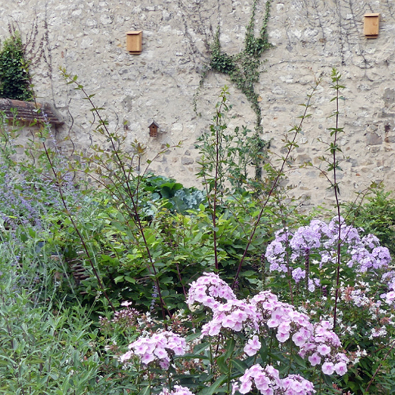 nichoir chauve souris fabriqué en France par Natures Market sur site Oisillon.net