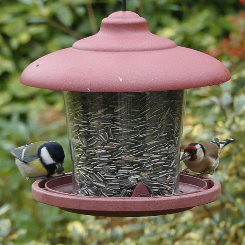 Julie mangeoire pour graines écoresponsable en plastique 10% recyclé fabriquée en France par Natures Market. Oisillon.net