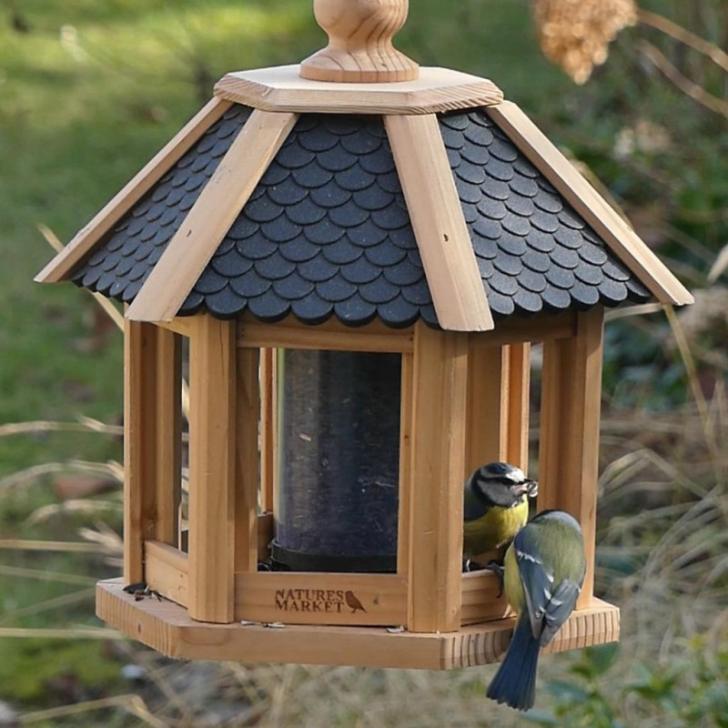 Tournesol noir strié pour nourrir les oiseaux Natures market Oisillon.net