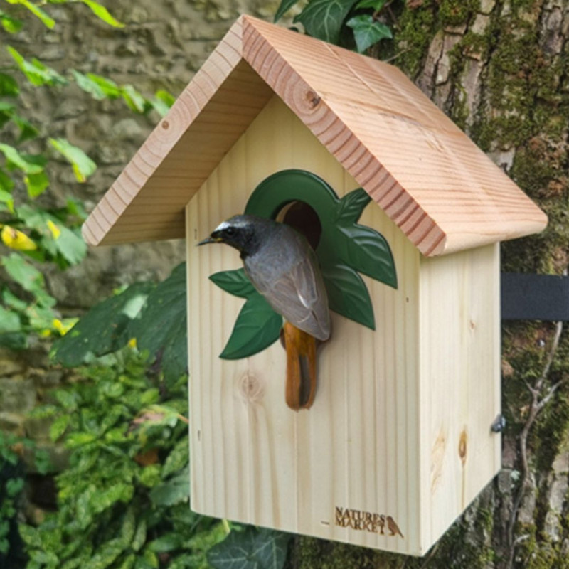 Coffret : Attrape Rêve ! Moineaux, Sittelles Torchepots et Rougequeues à Front Blanc Natures Market Oisillon.Net fabriqué France