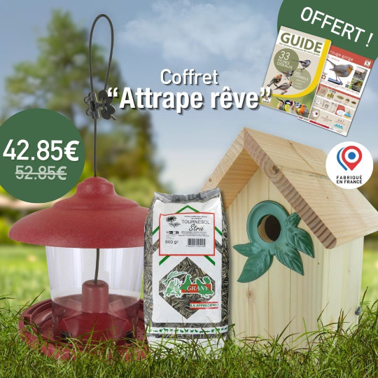 Coffret : Attrape Rêve ! Moineaux, Sittelles Torchepots et Rougequeues à Front Blanc Natures Market Oisillon.Net fabriqué France Coffret : Attrape Rêve ! Moineaux, Sittelles Torchepots et Rougequeues à Front Blanc Natures Market Oisillon.Net fabriqué France
