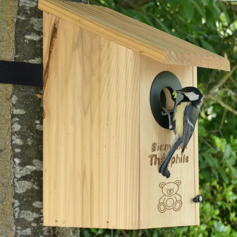 Cadeau personnalisé fabriqué en france ecoresponsable ecologique made in france Natures Market Oisillon.net