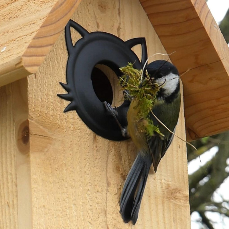 Nichoir CHAT ALORS  pour oiseaux mésanges charbonnières, moineaux, sittelles torchepot ... Natures Market