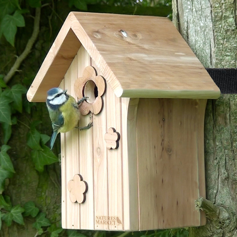 Nichoir Le Poupon pour mésanges bleues, nonettes, huppées et mésanges noires. Fabriqué en France Natures Market Oisillon.net