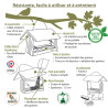 Mangeoire Graineterie pour graines pour oiseaux Natures Market -Oisillon.net- fabriquée en France Mangeoire Graineterie pour graines pour oiseaux Natures Market -Oisillon.net- fabriquée en France