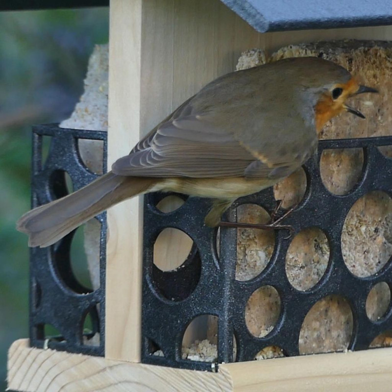 mangeoire bar à graisse végétale Oisillon.net natures market fabriqué en france plastique recyclé écoresponsable
