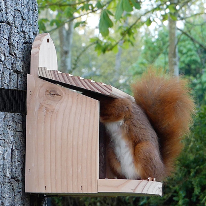 Mangeoire Ecureuil pour écureuils et/oiseaux Natures Market -Oisillon.net- fabriquée en France