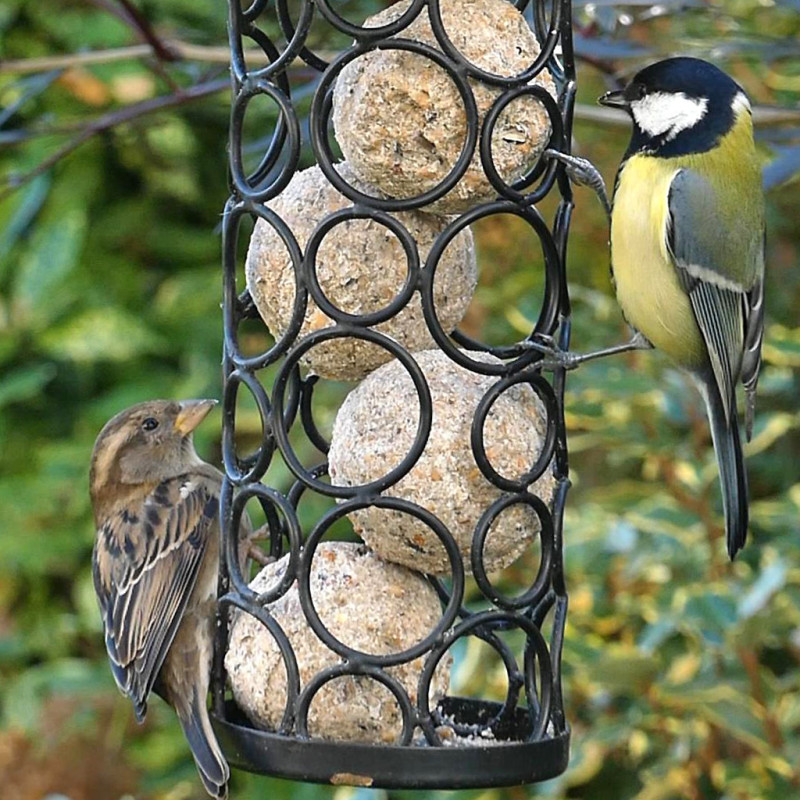 Mangeoire Pétillante pour cylindres de graisse pour oiseaux - sans huile de palme- Natures Market -Oisillon.net-