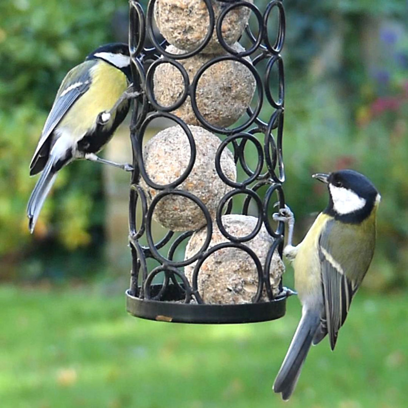 Mangeoire Pétillante pour cylindres de graisse pour oiseaux - sans huile de palme- Natures Market -Oisillon.net-