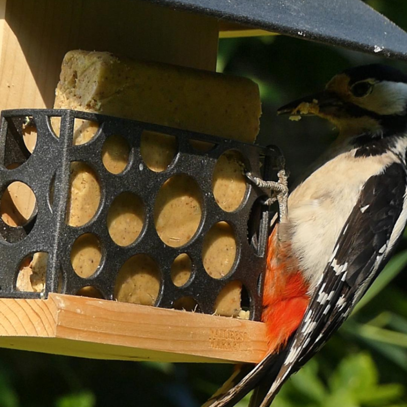 mangeoire bar à graisse végétale Oisillon.net natures market fabriqué en france plastique recyclé écoresponsable
