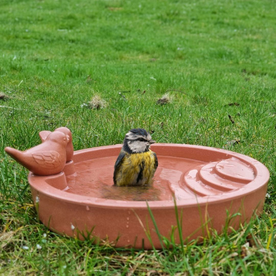 Abreuvoir pour oiseaux bain eau recyclé à poser au sol Natures market Oisillon.net NM682