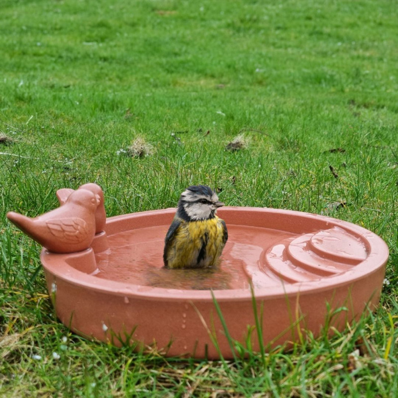 Abreuvoir pour oiseaux bain eau recyclé à poser au sol Natures market Oisillon.net NM682