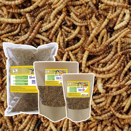 Vers de farine avec déclinaisons Nature Market Nourritures