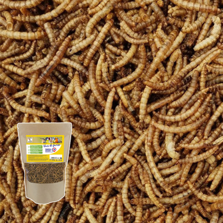 Vers de farine - Insectes - 200gr Nature Market Nourritures Vers de farine - Insectes - 200gr Nature Market Nourritures