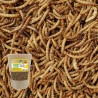Vers de farine - Insectes - 200gr Nature Market Nourritures Vers de farine - Insectes - 200gr Nature Market Nourritures