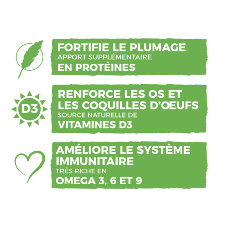 Vers de farine avec déclinaisons Nature Market Nourritures
