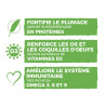 Vers de farine avec déclinaisons Nature Market Nourritures Vers de farine avec déclinaisons Nature Market Nourritures