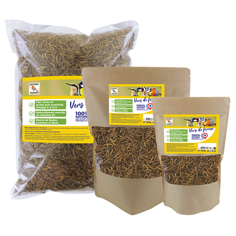 VERS DE FARINE FABRIQUE EN FRANCE NATURES MARKET OISILLON.NET